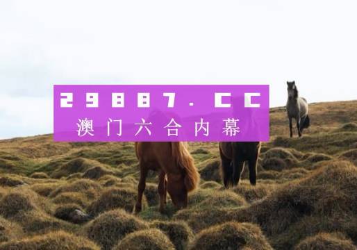 2043年，展望未来，澳门彩的神秘与期待2025澳门今晚开奖记录查询