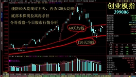 2046新奥正版资料免费大放送，知识共享的未来趋势2025正版资料全年免费公开