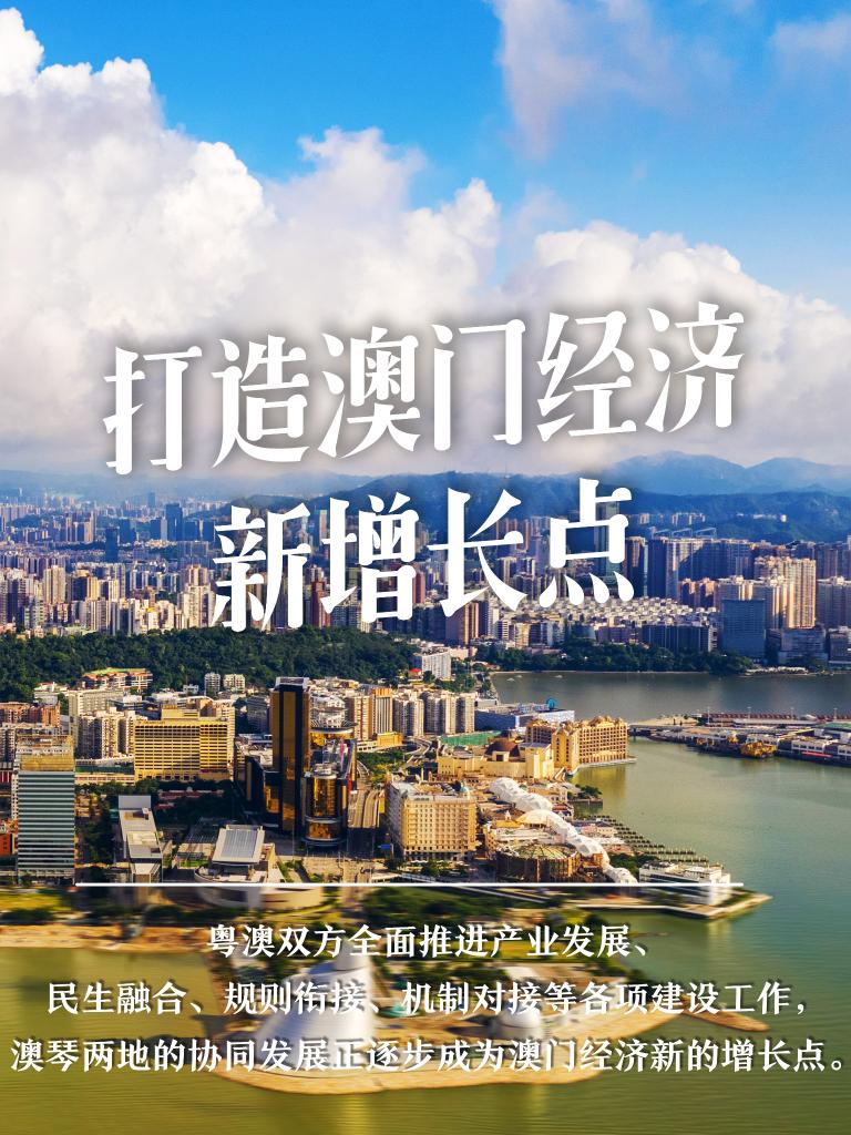 澳门资料大全2035，探索东方蒙地卡罗的多元魅力澳门资料大全免费2024年7月22日