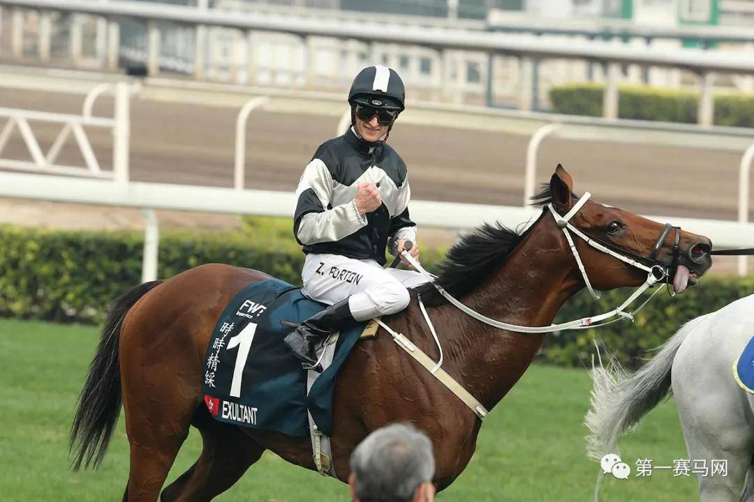 香港马会2019资料大全，全面解析与深度解读香港2021年马会资料大全