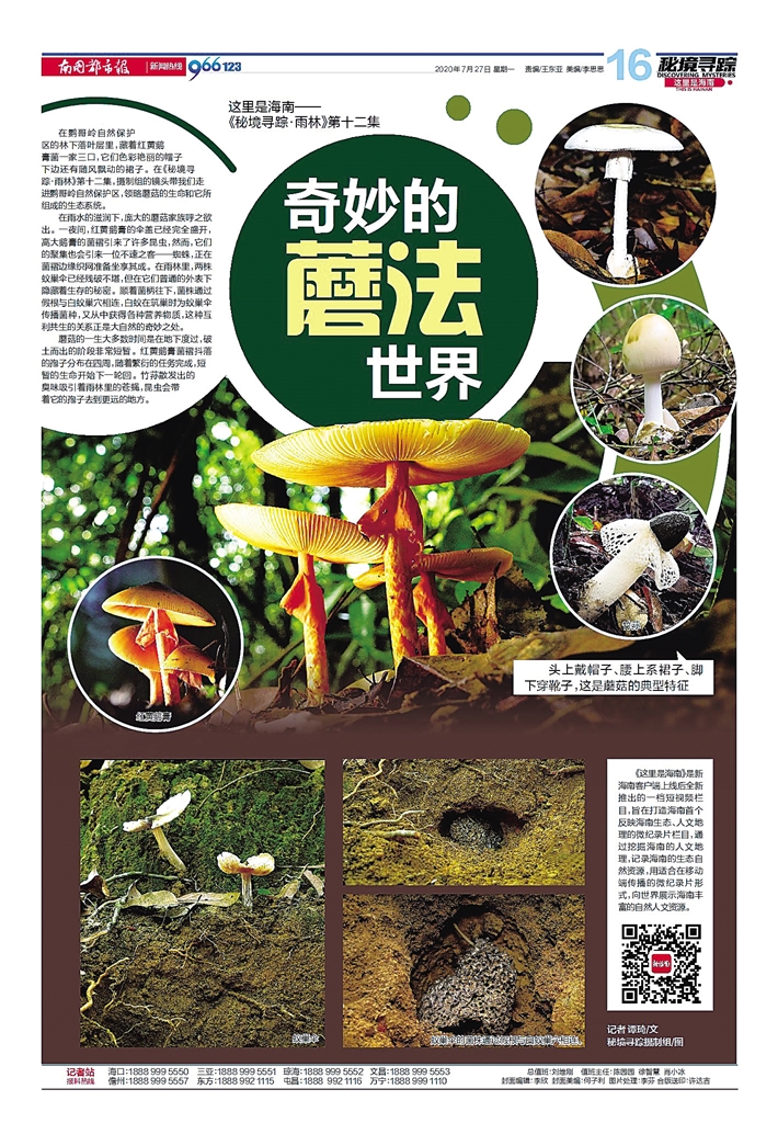 探索新址246，天天好彩图资料的奇妙世界
