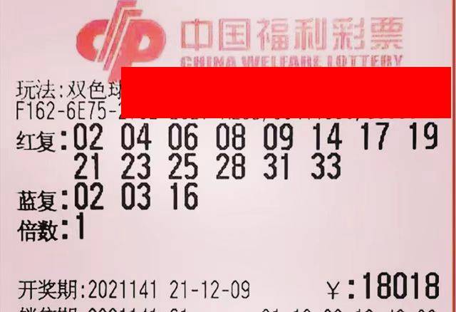 澳门新开奖记录今日揭晓，探索幸运的瞬间与数字魅力新澳门开奖记录查询今天开什么