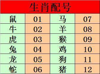 今晚9点30，揭秘生肖开奖的神秘面纱今晚9点30开什么生肖什么号码