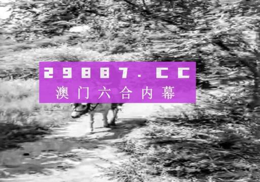 澳门六肖的级别与解读，一场误解的风暴