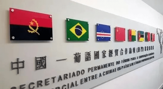 澳门六玄网论坛15期资料最新,揭秘与风险警示