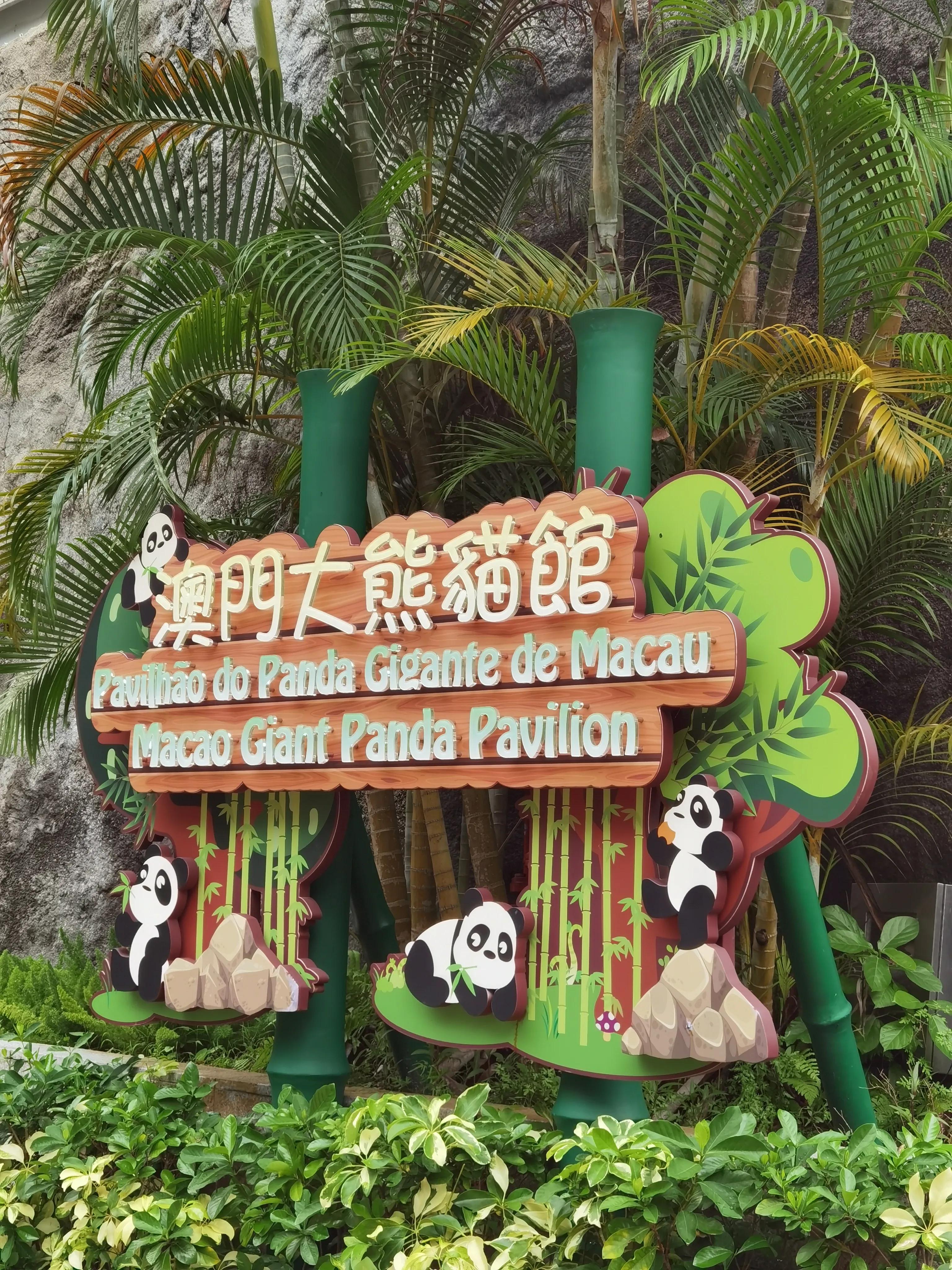 澳门六舍彩204年3月8号最新开奖号码揭秘，理性看待彩票，享受生活乐趣246期澳门开奖结果